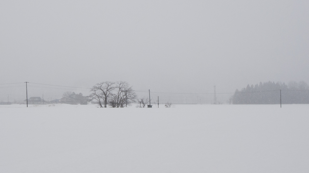雪国のとある日