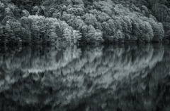 水源の森　