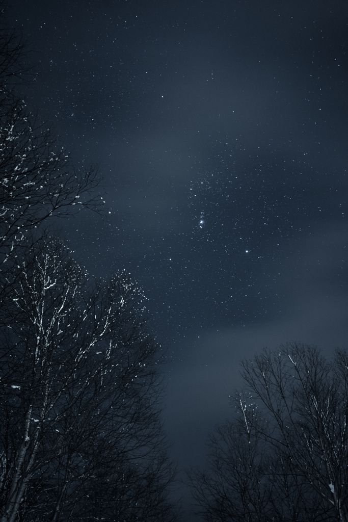 その雪を宙（そら）に還す