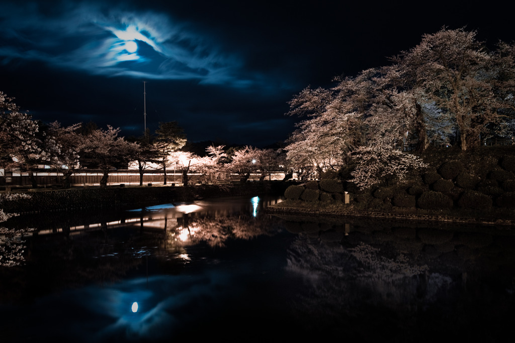 夜桜宴舞'2010