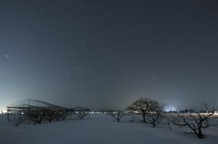 淡く儚き冬の夜