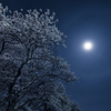 月夜