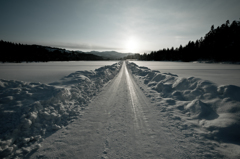 その冬の道