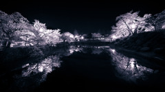 上杉鏡桜