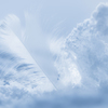 雪になる