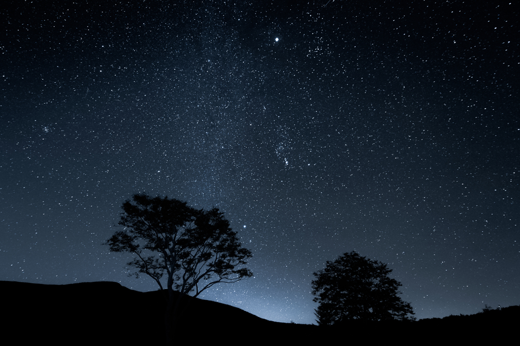 感樹星