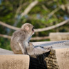 ふぅ。。。
