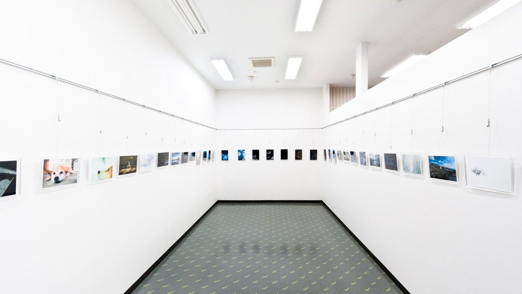 cozyの2011個展。一ヶ月ロングランスタートしました。