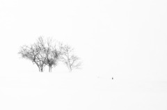 その日の冬景