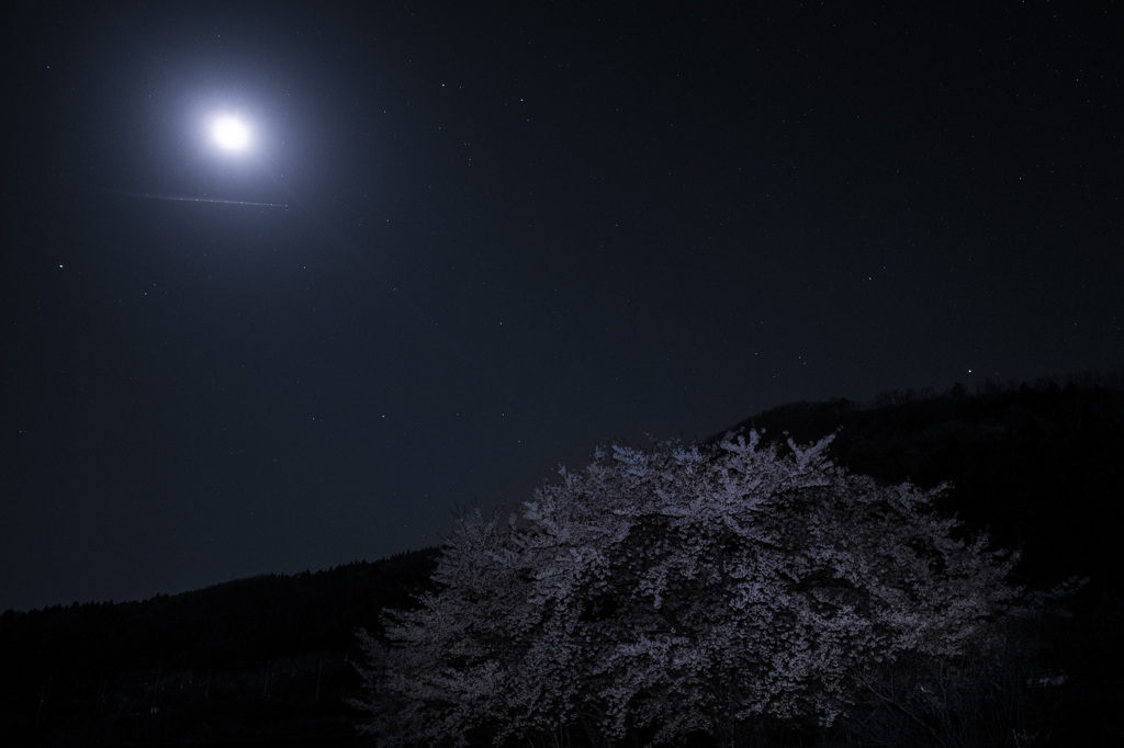 夜間飛行