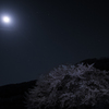 夜間飛行