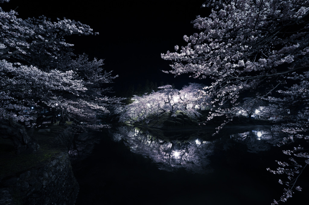 夜桜宴舞'2011
