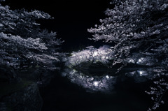 夜桜宴舞'2011