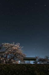 学び舎　堤防　星桜　