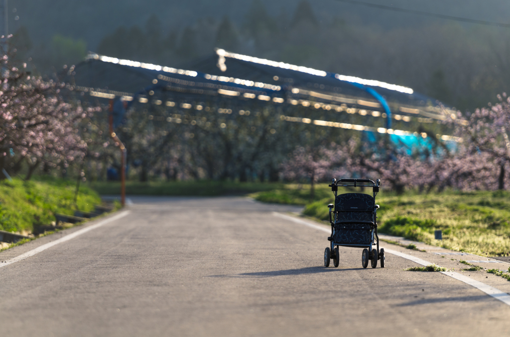おばあちゃんの駐車場