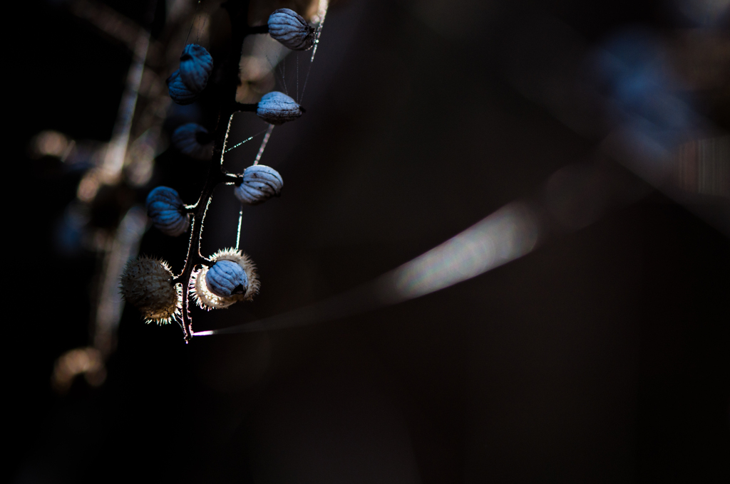 導光