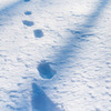 Crossroads of season
