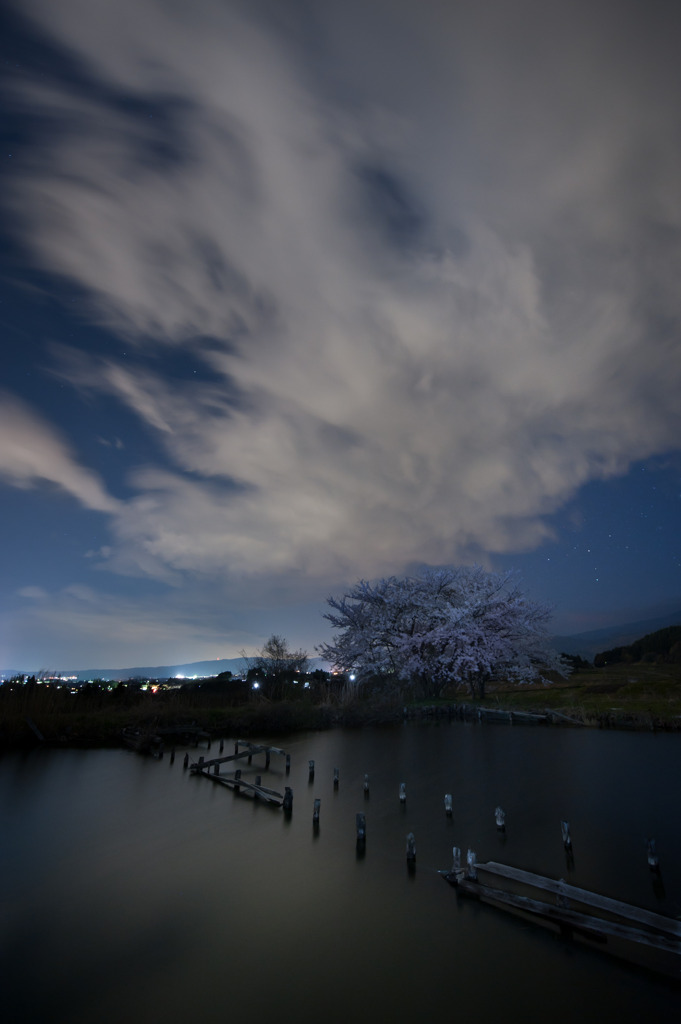 その雲は桜より先に次の季節へ走り抜けた