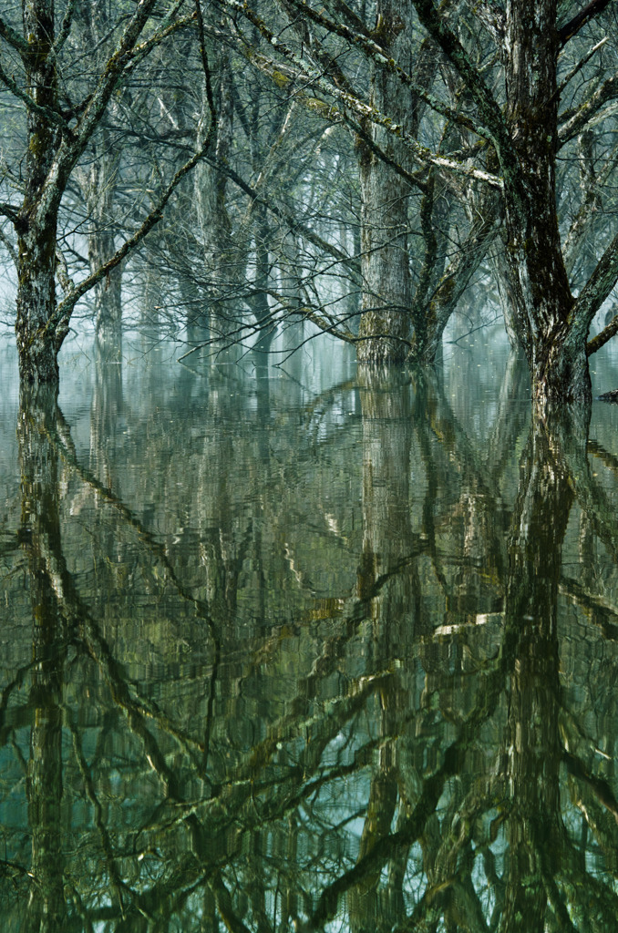 無音無言　ココロ　トイカケ　