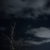二月の夜風は肋に染みる