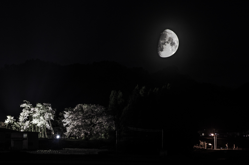 多重露景