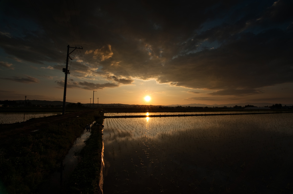 雨上がりのあぜ道で