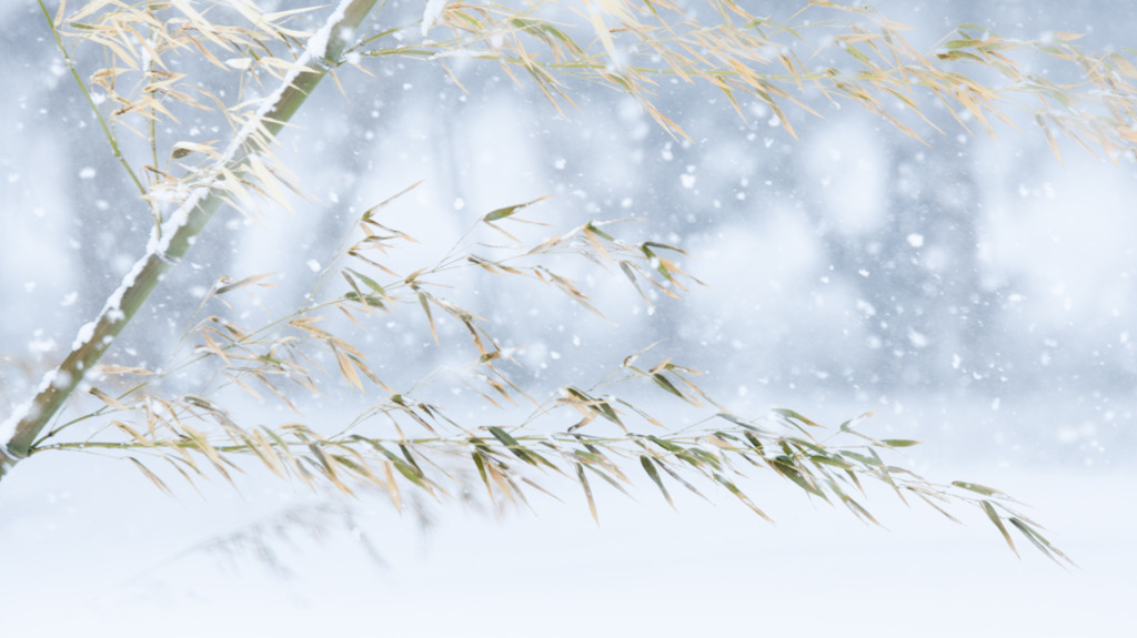 弥生の雪　修禊