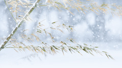 弥生の雪　修禊