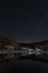 塔桜星鏡