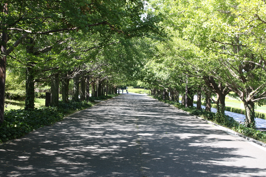 昭和記念公園