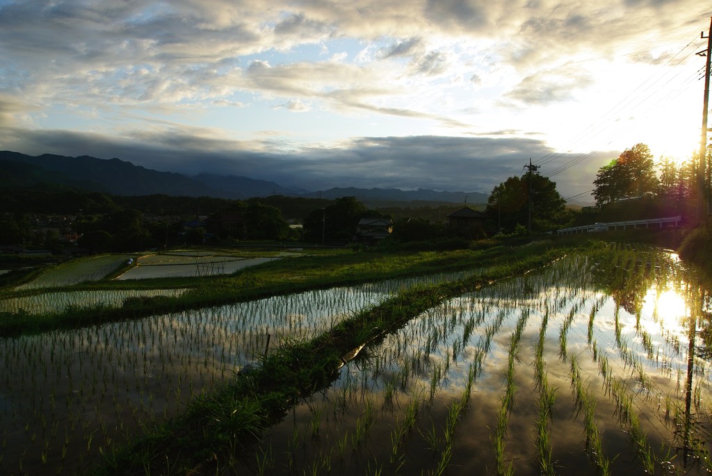 棚田の風景 2