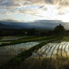 棚田の風景 2