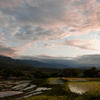 棚田の風景