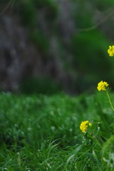 もうすぐ春