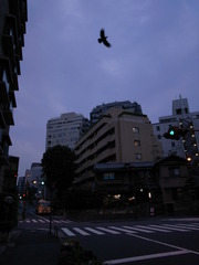 sanbancho001