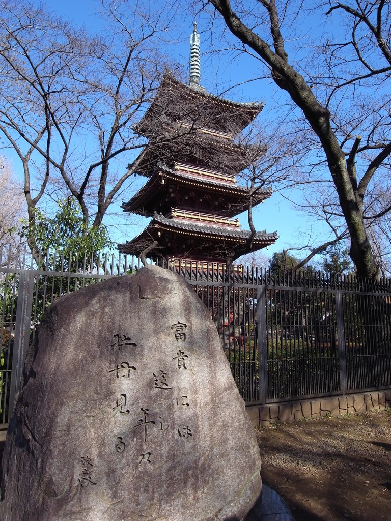 2009_0103GX200上野ぼたん園３