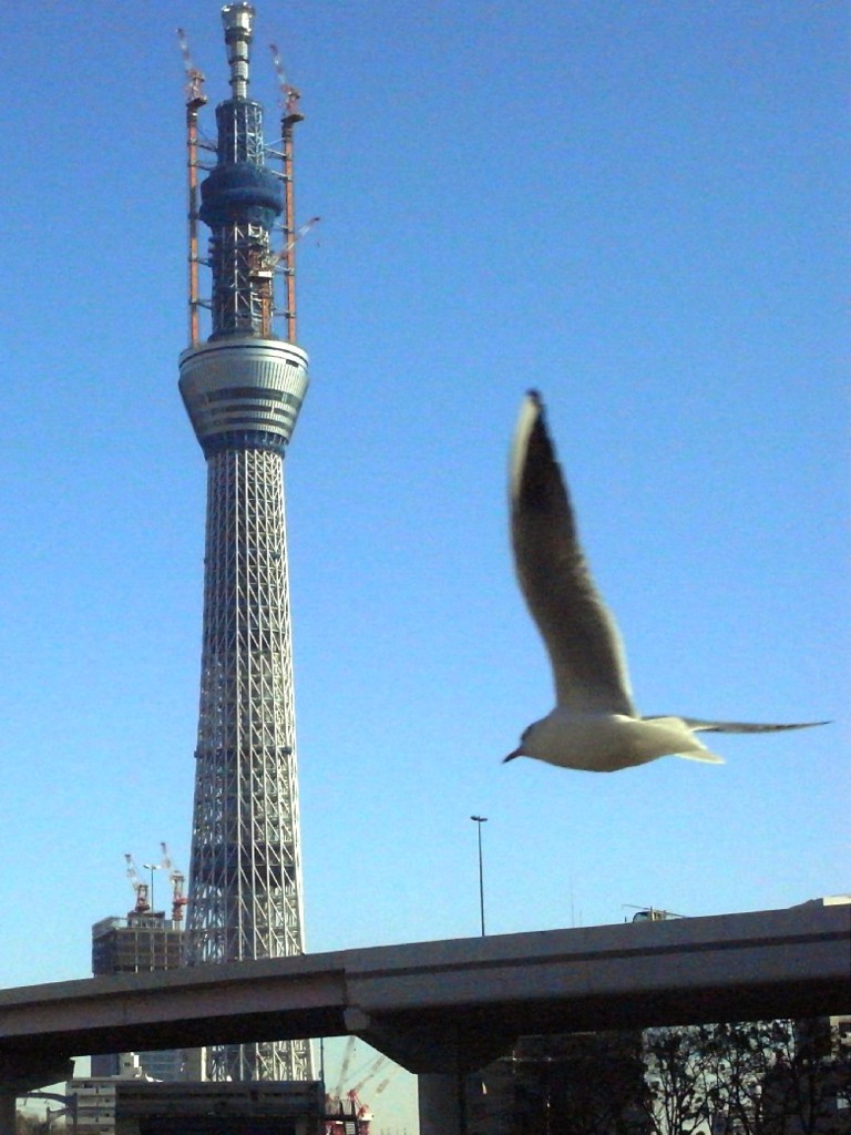 東京スカイツリーとゆりかもめ