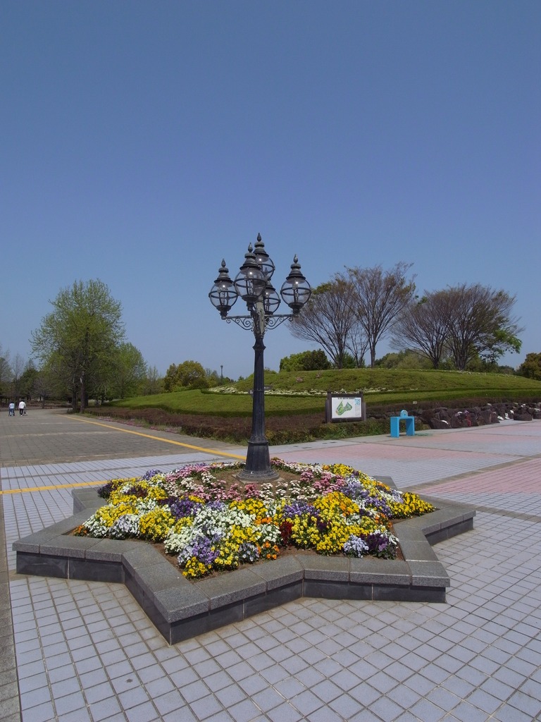 柏の葉公園の新緑５（2009_0419GX200）