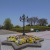 柏の葉公園の新緑５（2009_0419GX200）