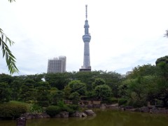 隅田公園から　GX200真夏のスカイツリー 