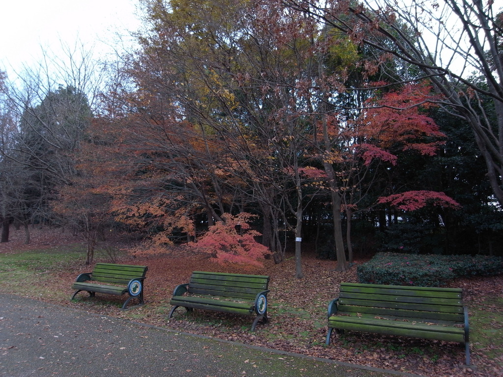 2008_1213GX200公園