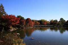 昭和記念公園