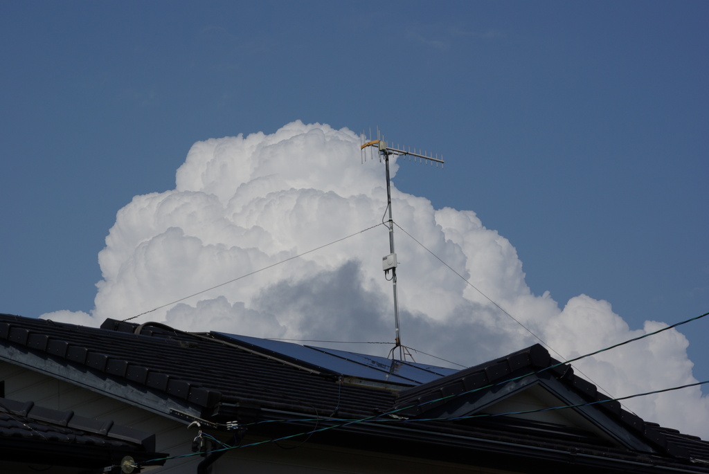 夏の始まり