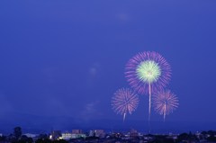 夕暮れ空を飾る