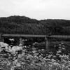 廃止路線　～目的を失った橋～