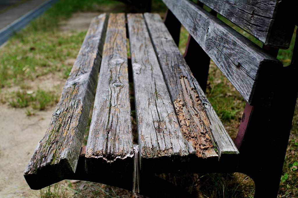 bench
