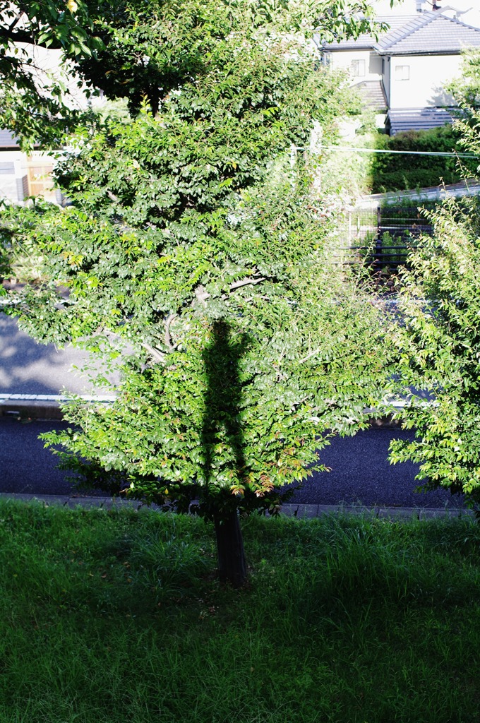 My shadow Ⅰ