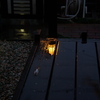 夕方、雨、自宅の庭。