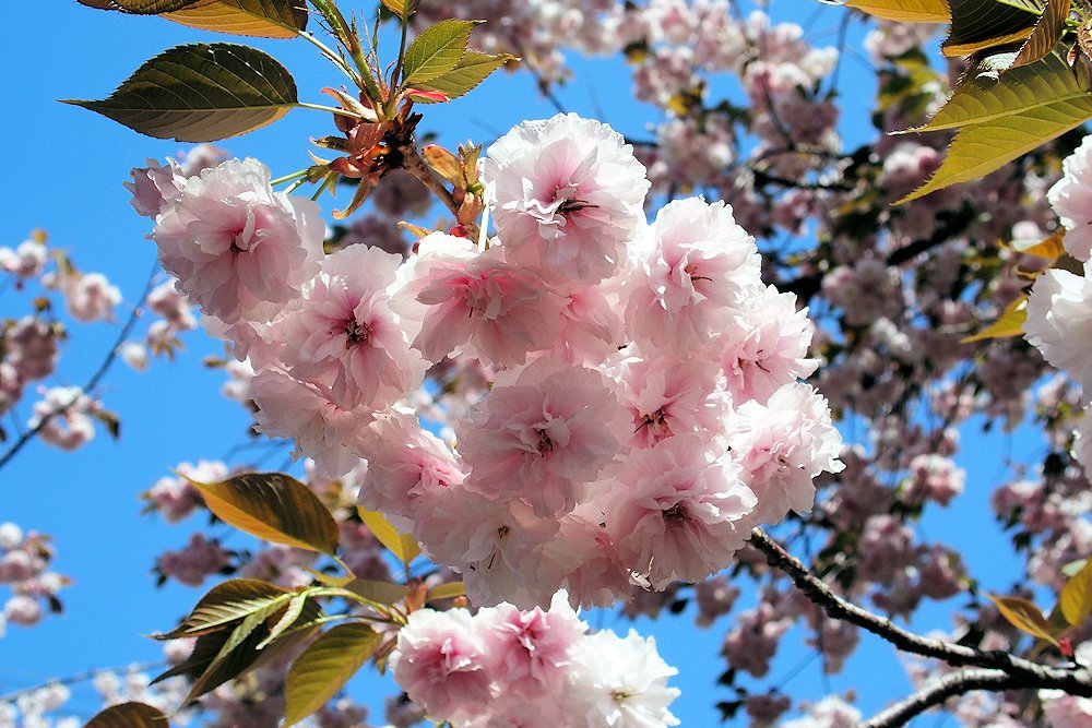 天平の丘公園