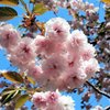 天平の丘公園